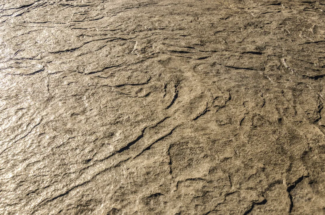 Hadley Creek Shale stamped concrete pattern